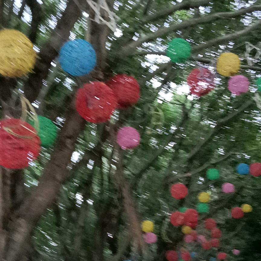 花姐