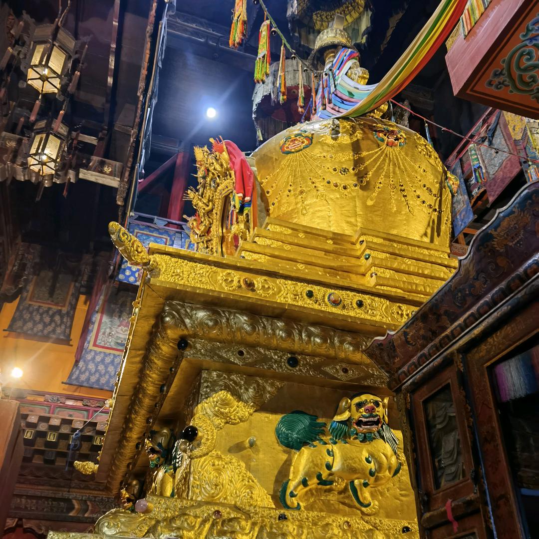 用户9072543246773
