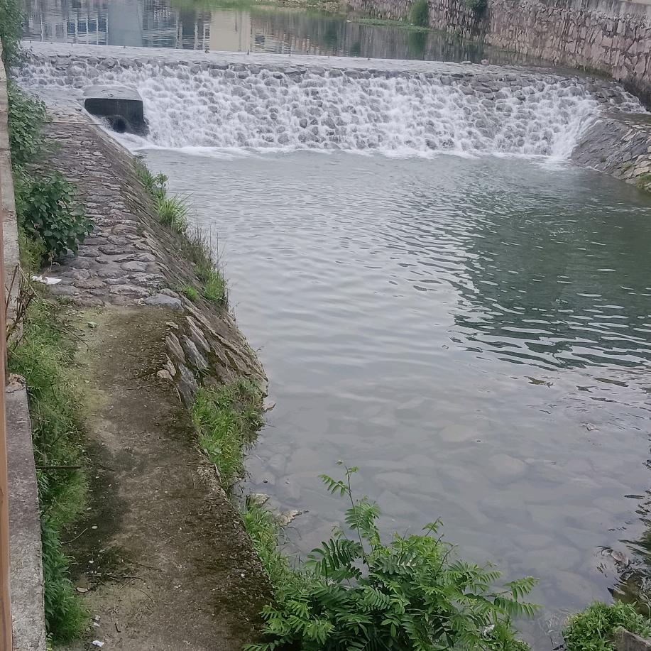 顺其自然a