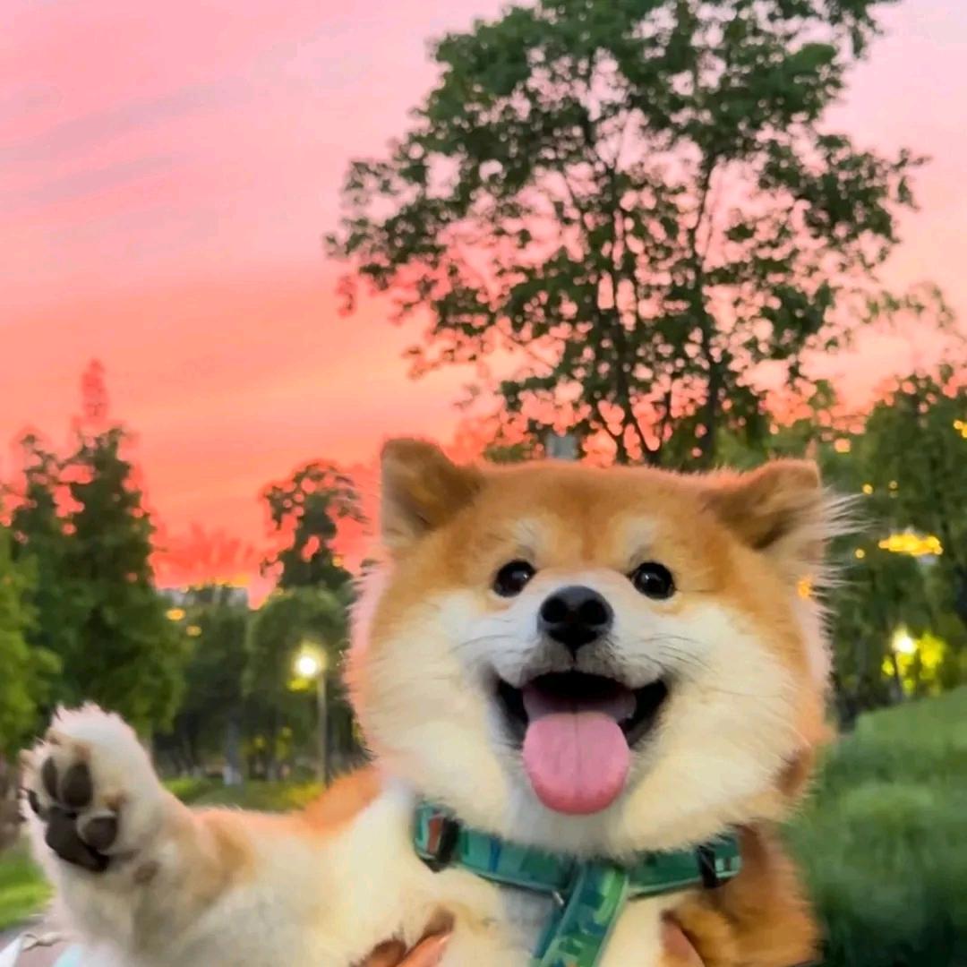 别想打扰我学习！