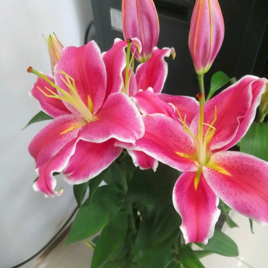 雨后彩虹