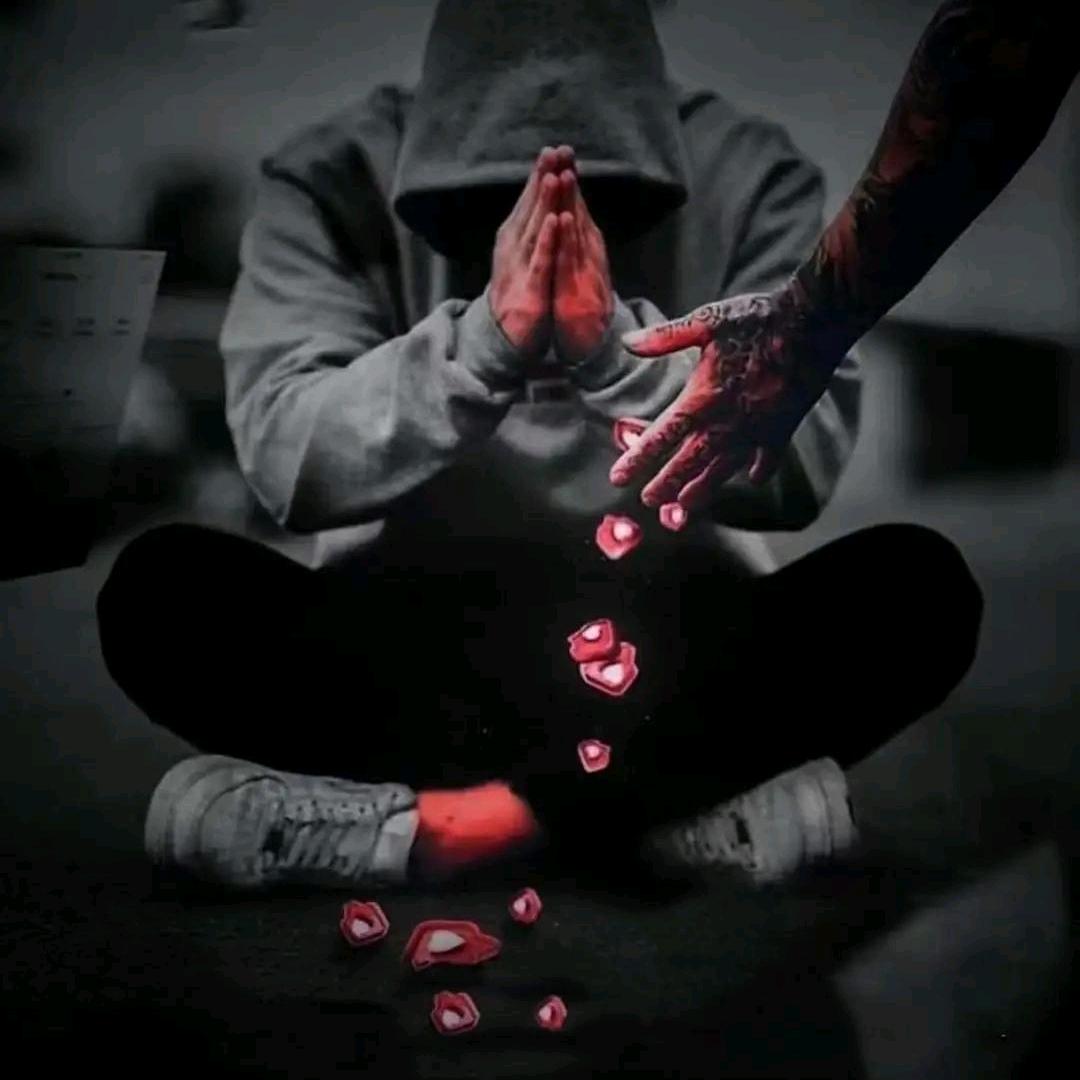 欢 少🔱花卉园