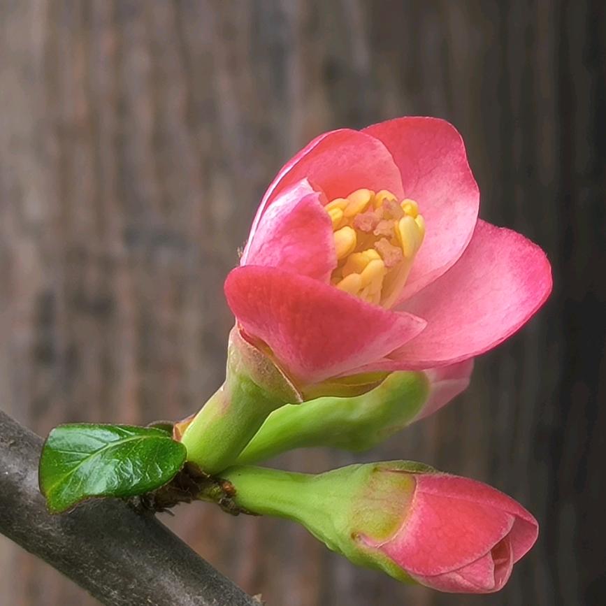 无所谓的二大爷