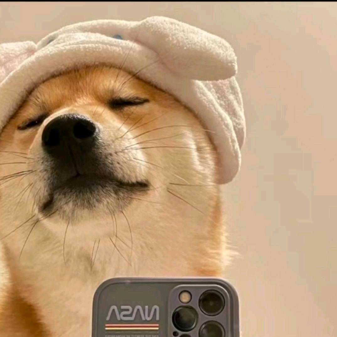 北極熊