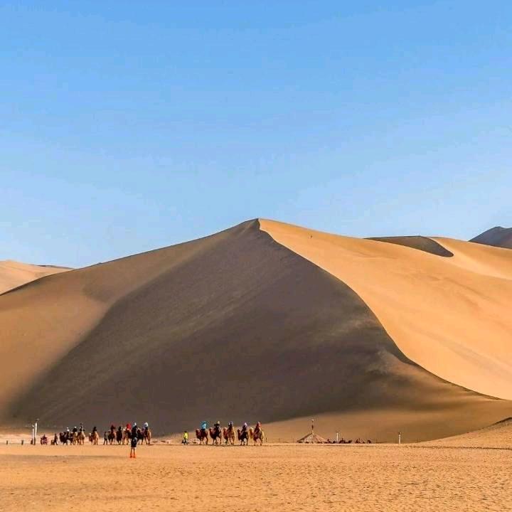 潘哥