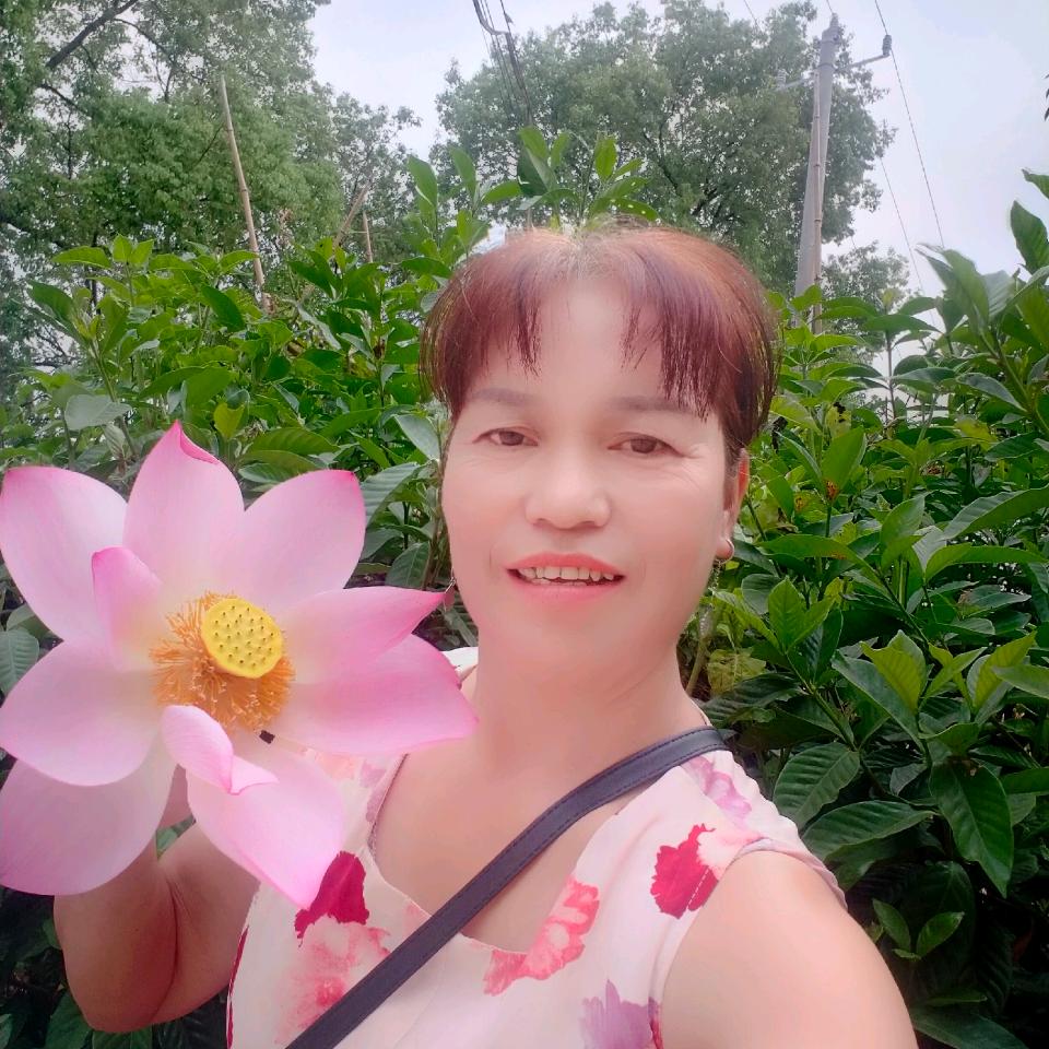 兰妹