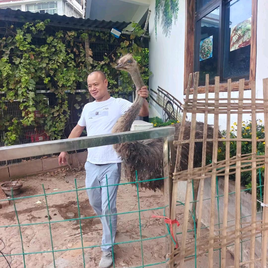 勤发餐饮服务有限责任公司