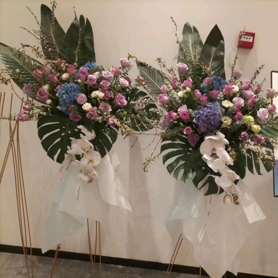 昆明绿植租赁,绿植养护,花园改造,绿植销