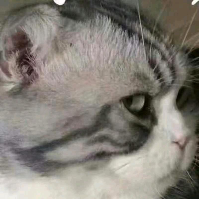 用户6132080289065