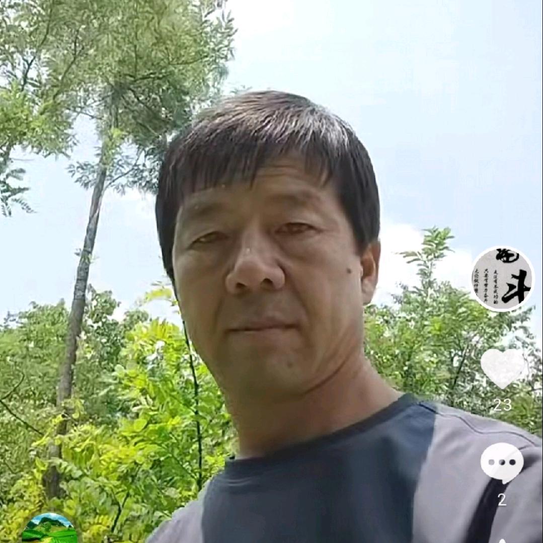 拼搏刘红枝