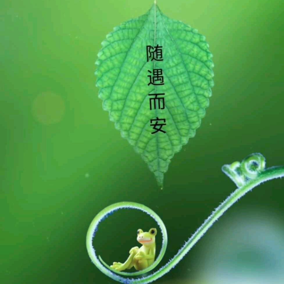 ☘️夕颜☘️