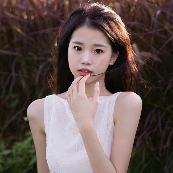 杨小燕子