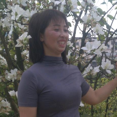 陆家五妹