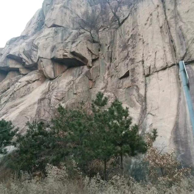 天高任鸟飞