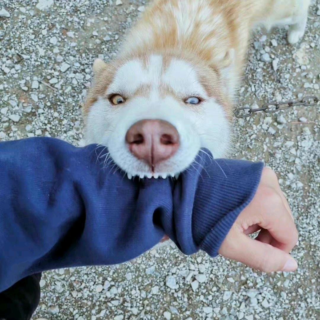 🌈老默我想吃尾迹鱼了🌈