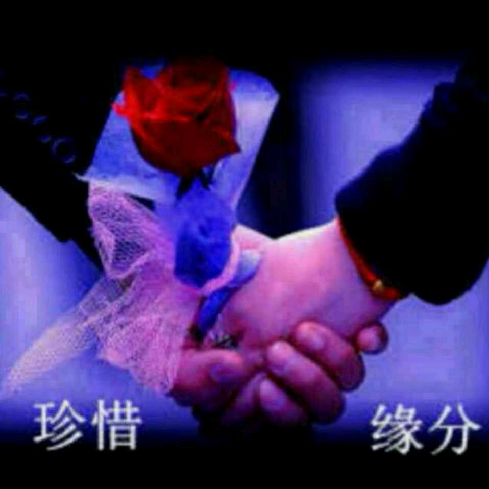 情LOVE缘