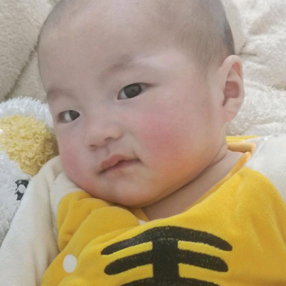 袁昭懿