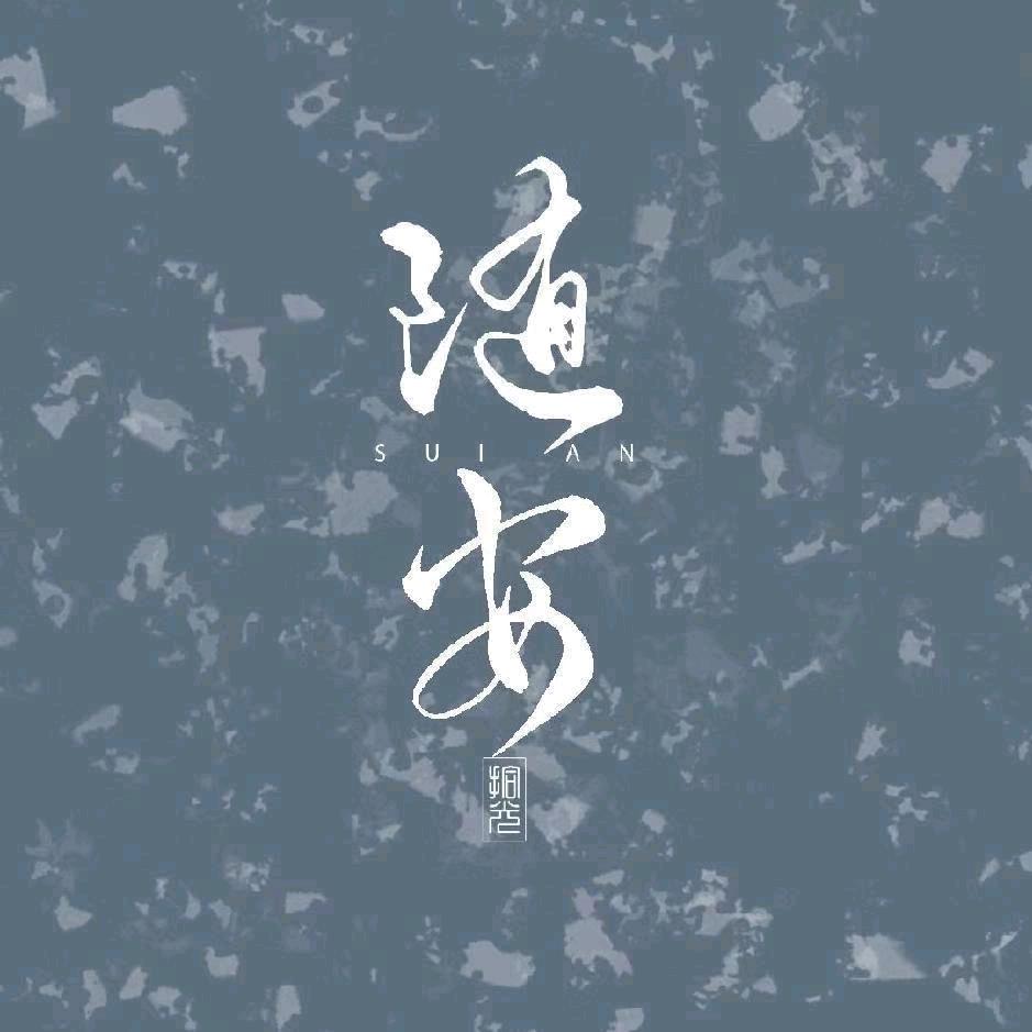 隋岸电喷摩托车维修