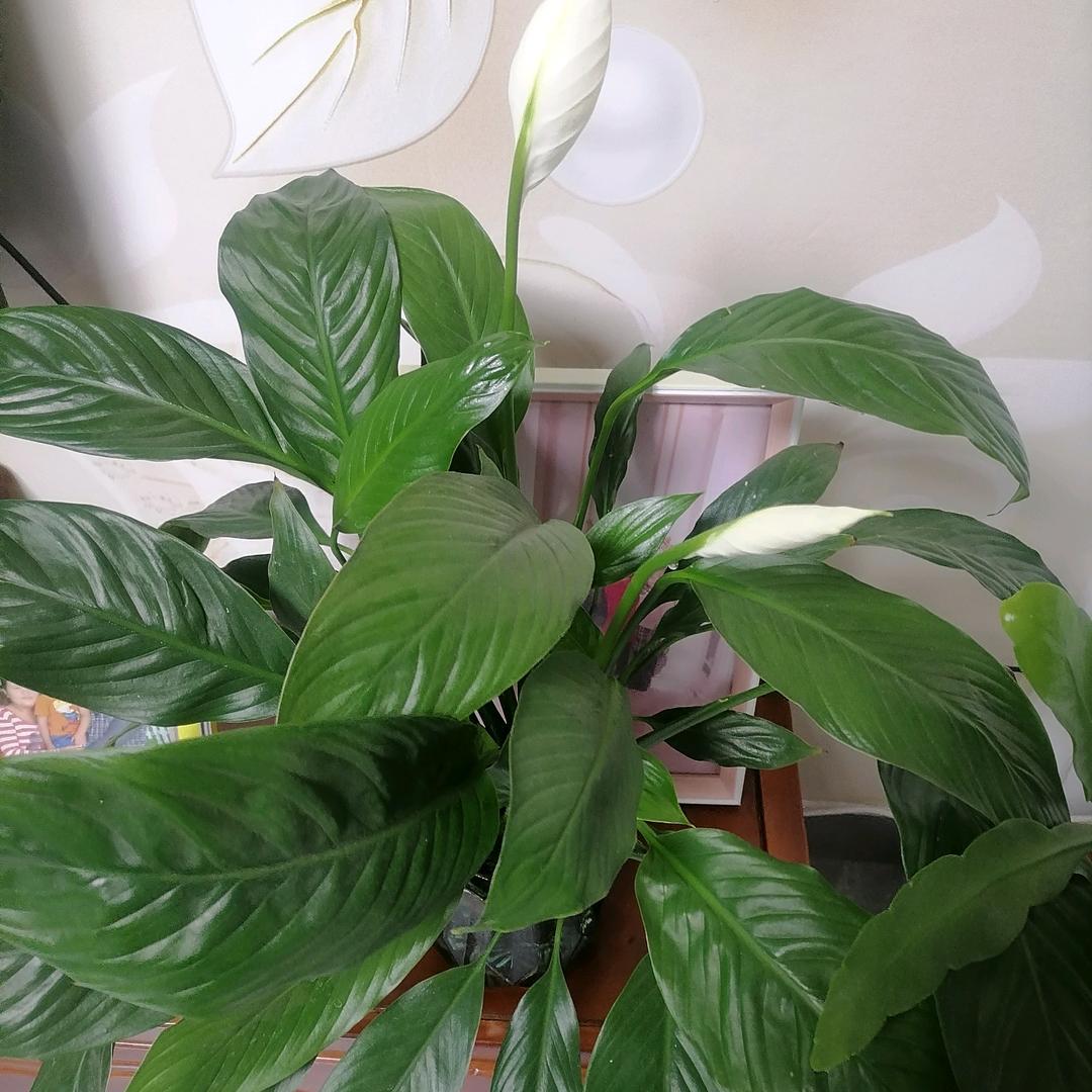 牵手