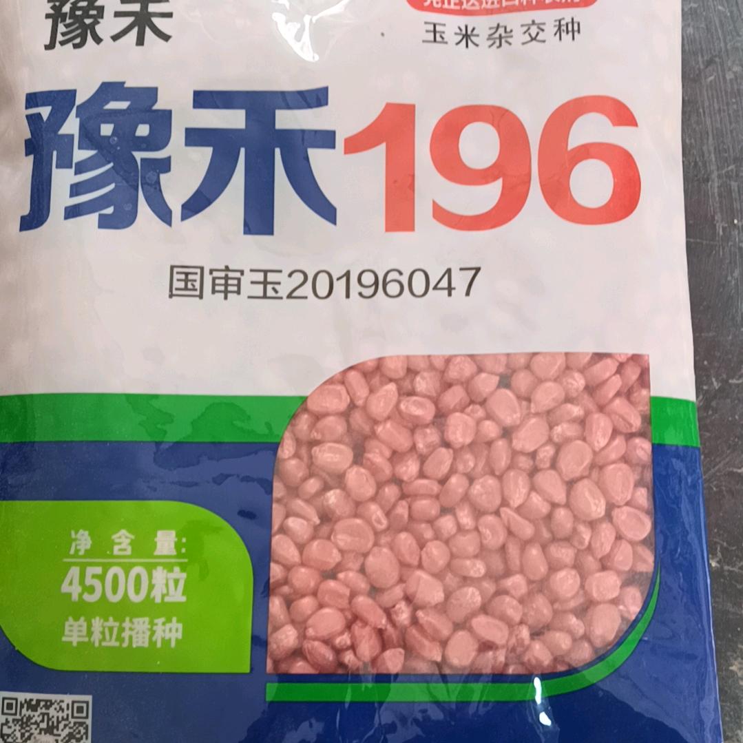 招财进宝