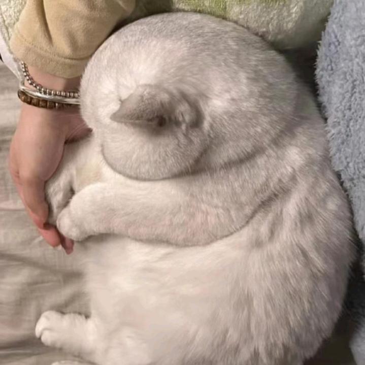 【✔】