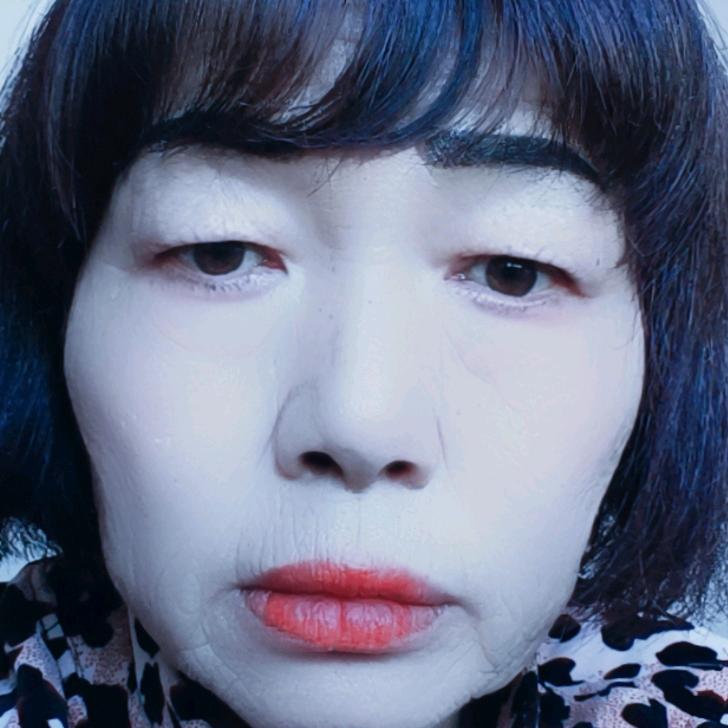 李凤凰