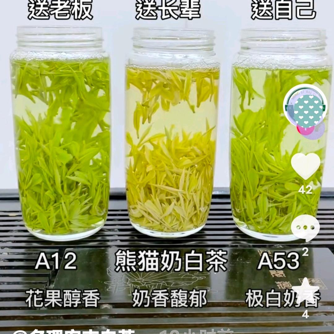 小吴茶农安吉白茶批发零售
