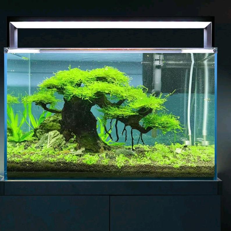 奕然鱼缸造景