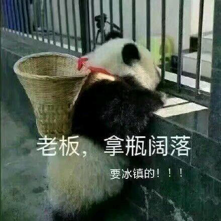 渝秀抖音王