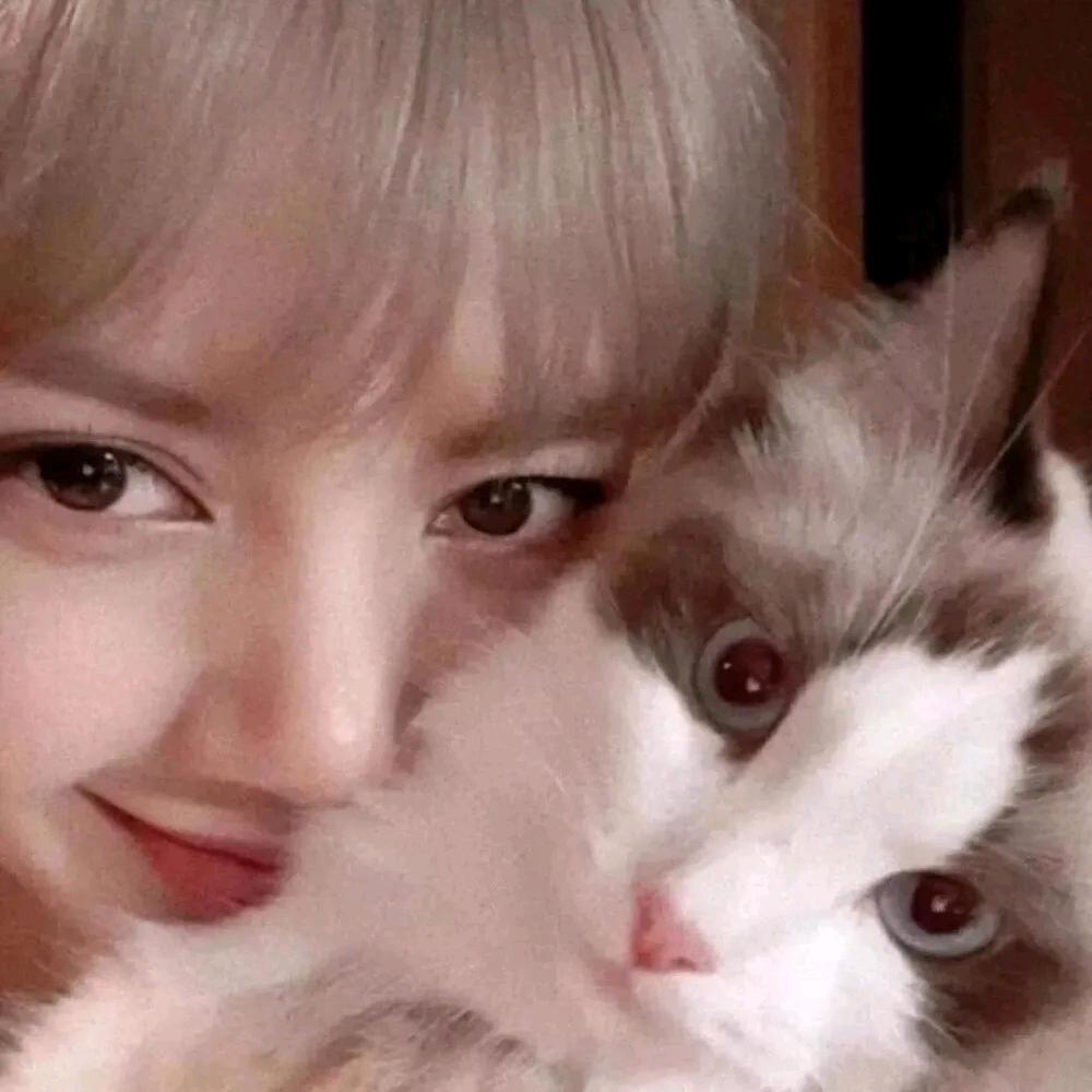 ₍˄·͈༝·͈˄*₎◞ ̑̑