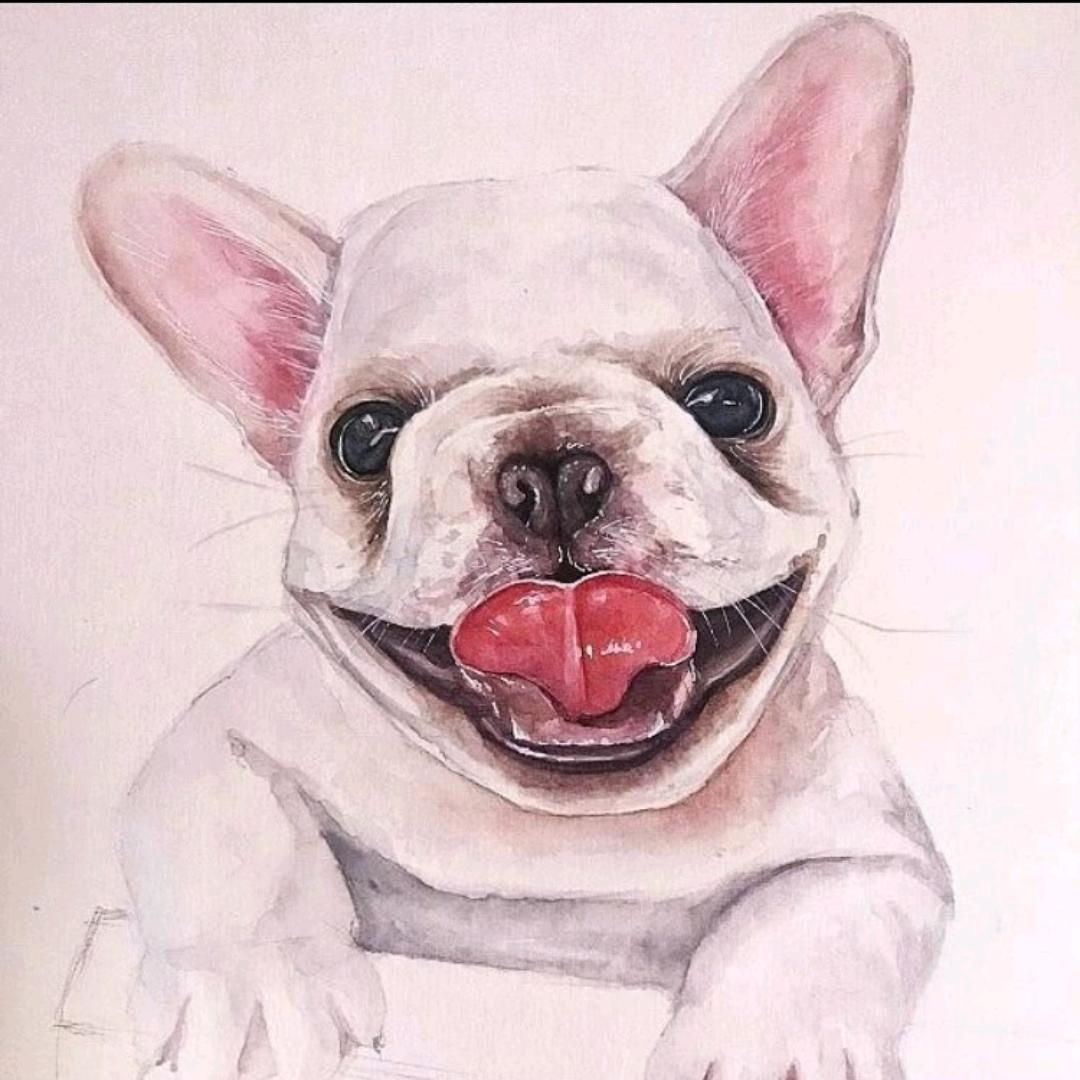 养狗的“单身汪”