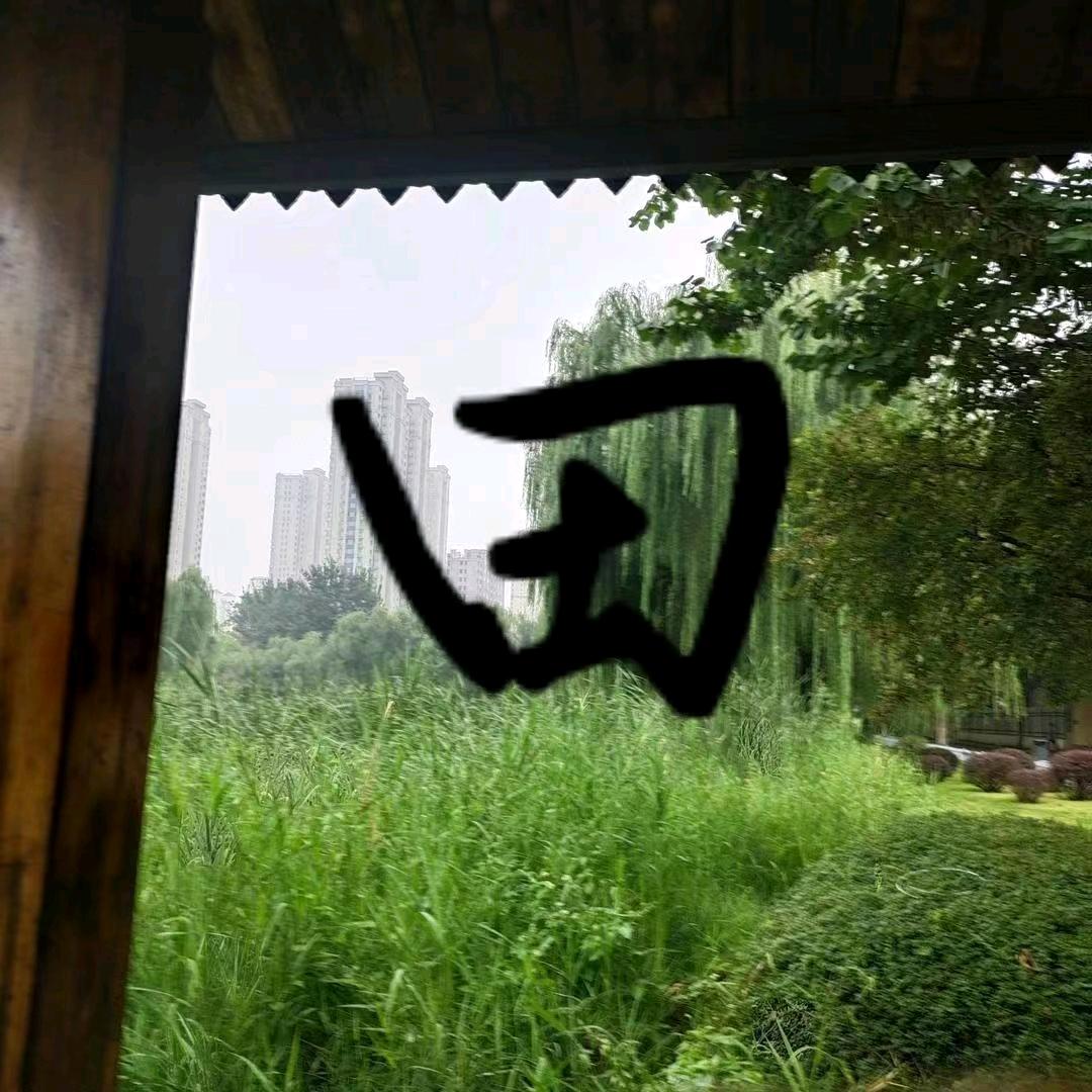 青山甜不甜