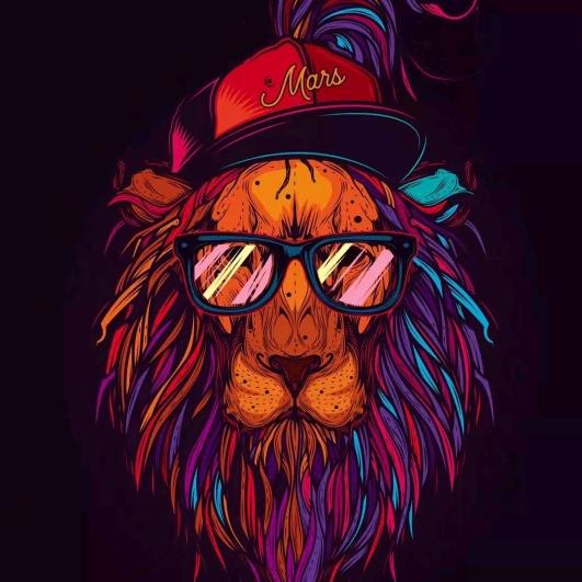 阿猫🐯