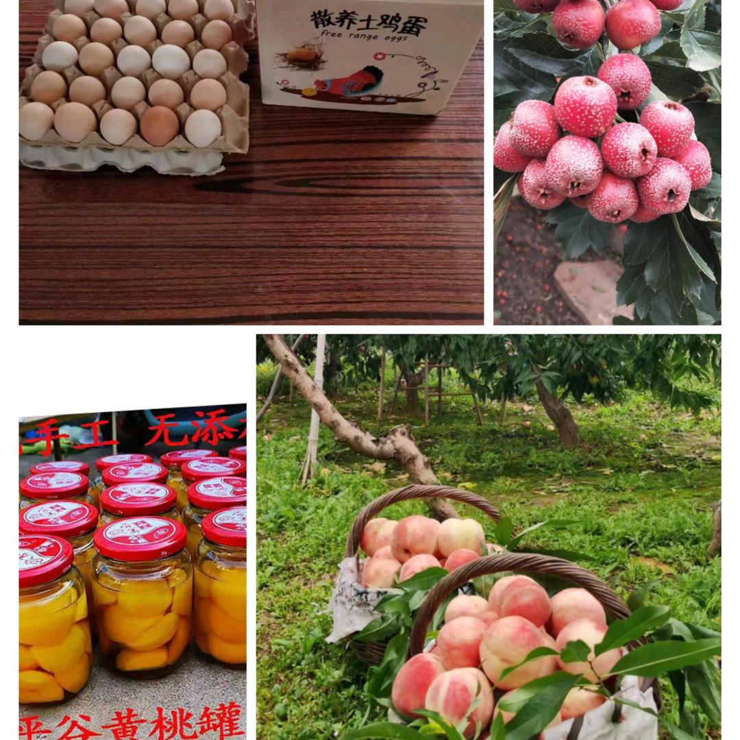 自家平谷鲜桃🍑🍑🍑