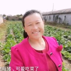 幸福姐