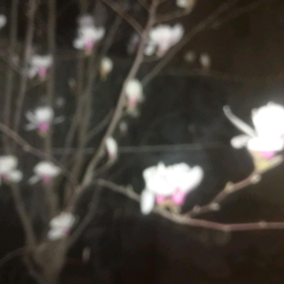 西安加油