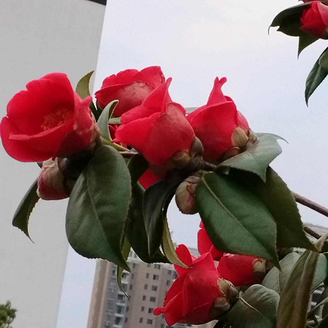 一生何求_252746078