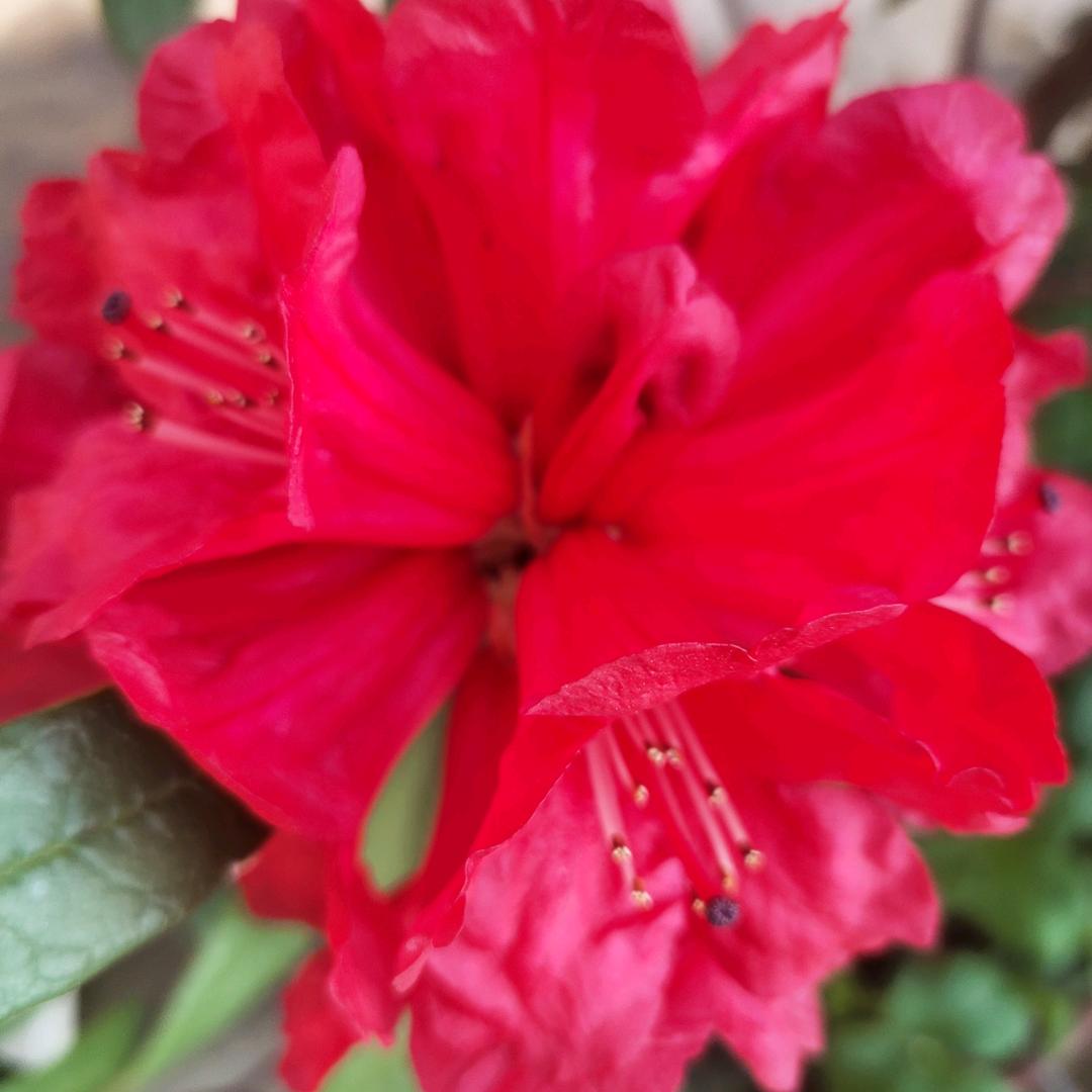 上善若水任方圆