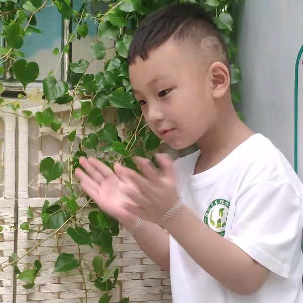 垳爸