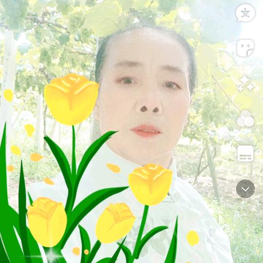 单身自由