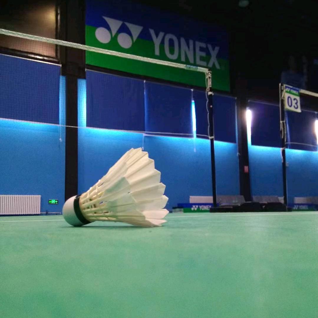 杨军羽毛球俱乐部-尤尼克斯雅山馆