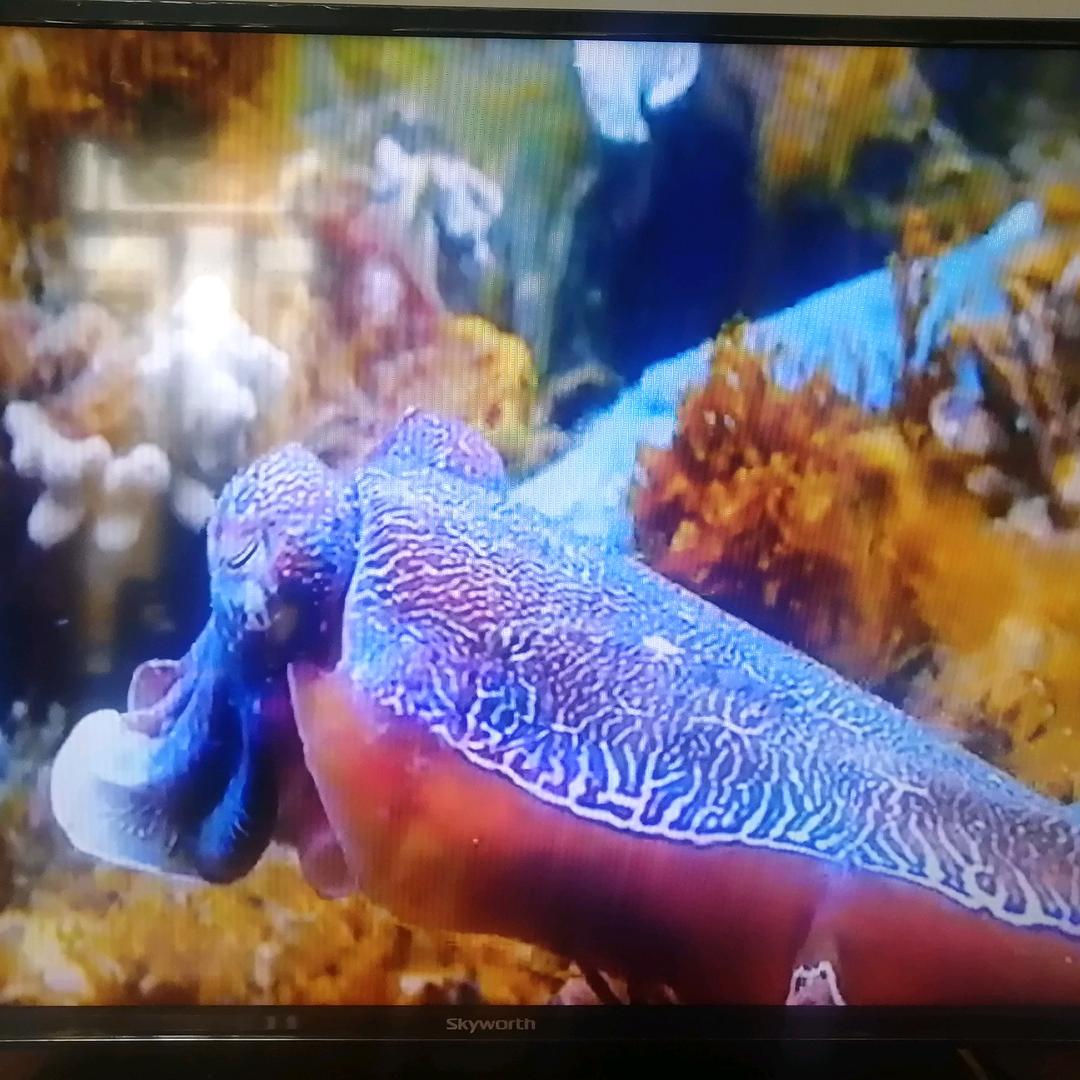 深海蓝天