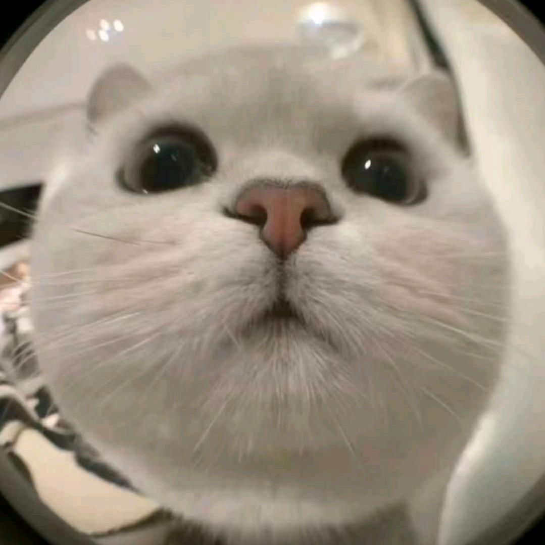 心想事成♡