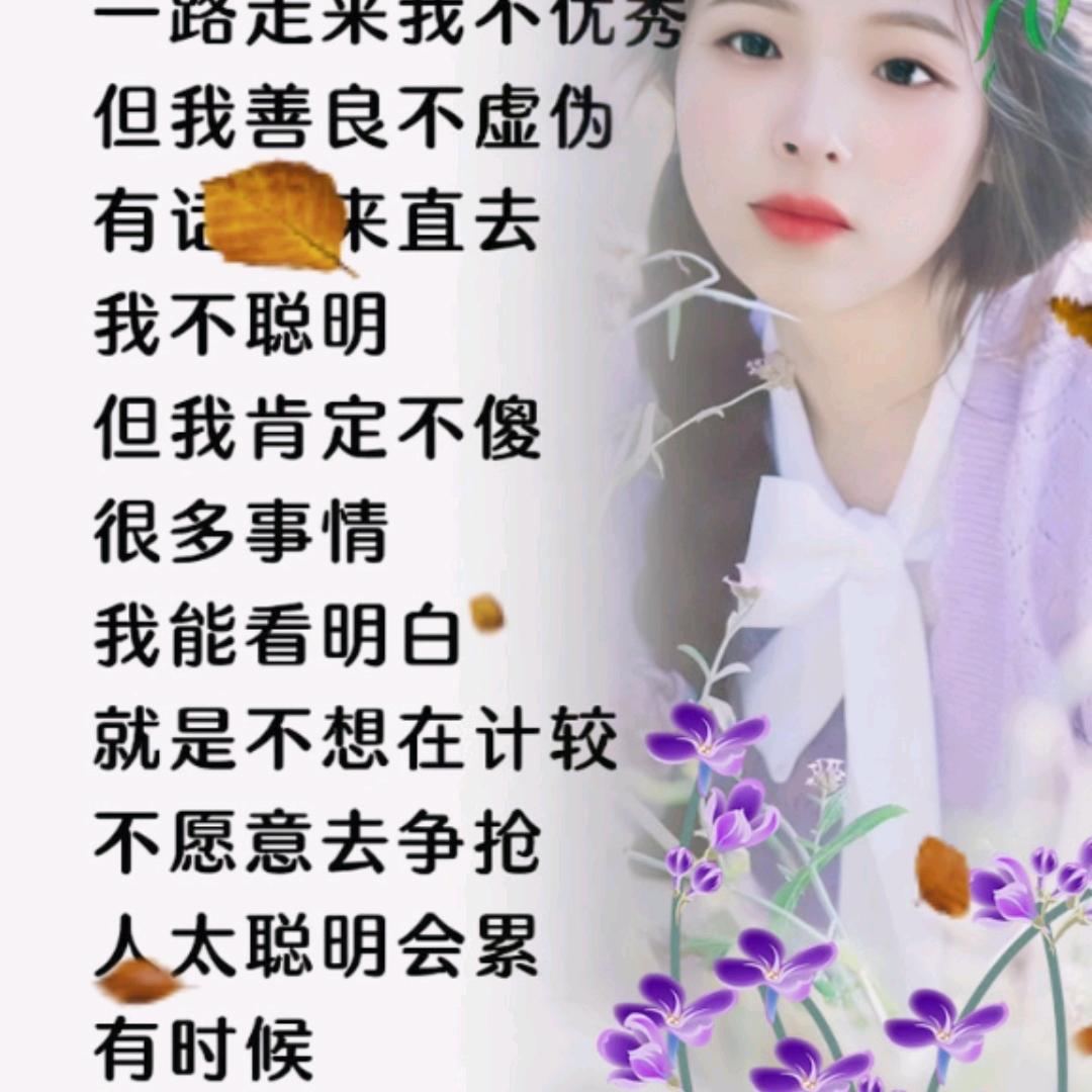 酒醉的蝴蝶