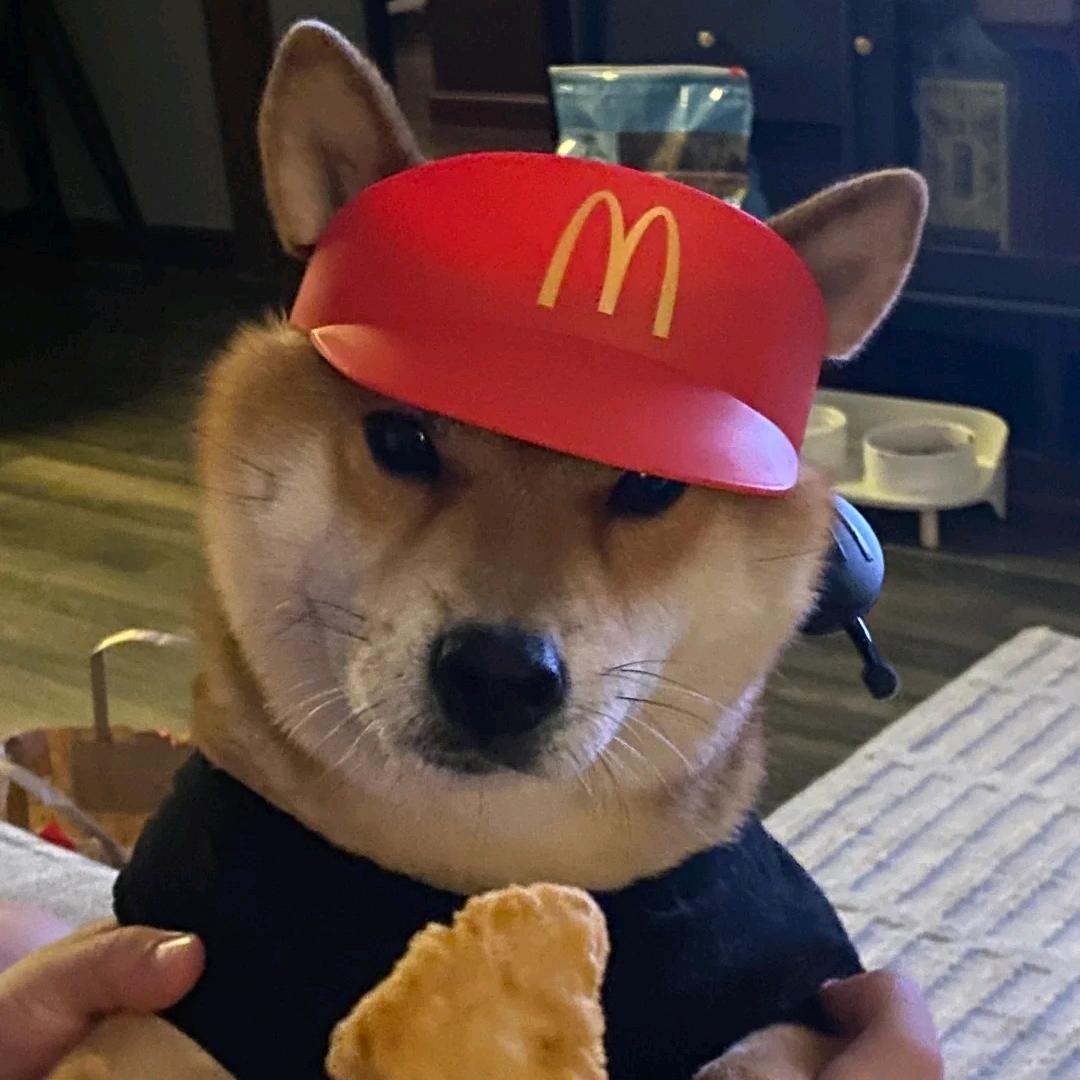 土豆不吐皮🥔