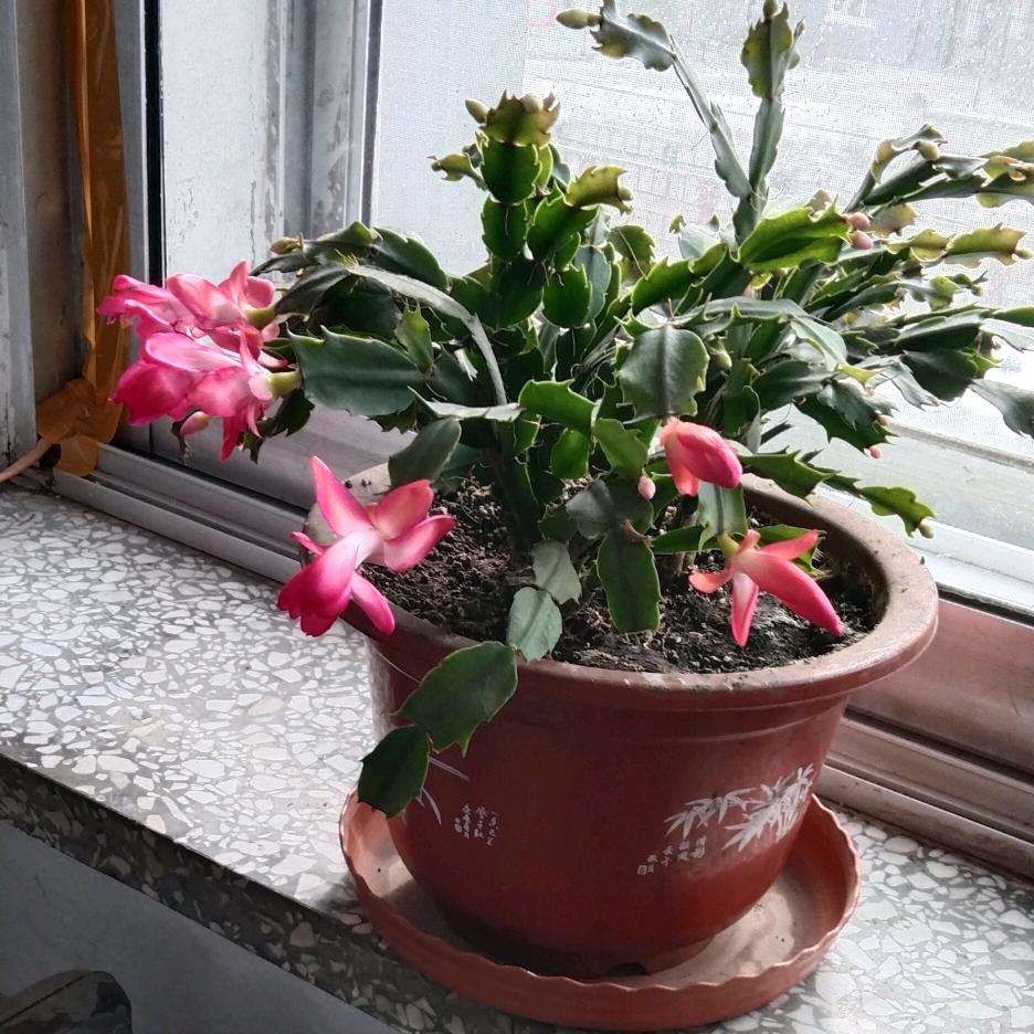 聆听回忆