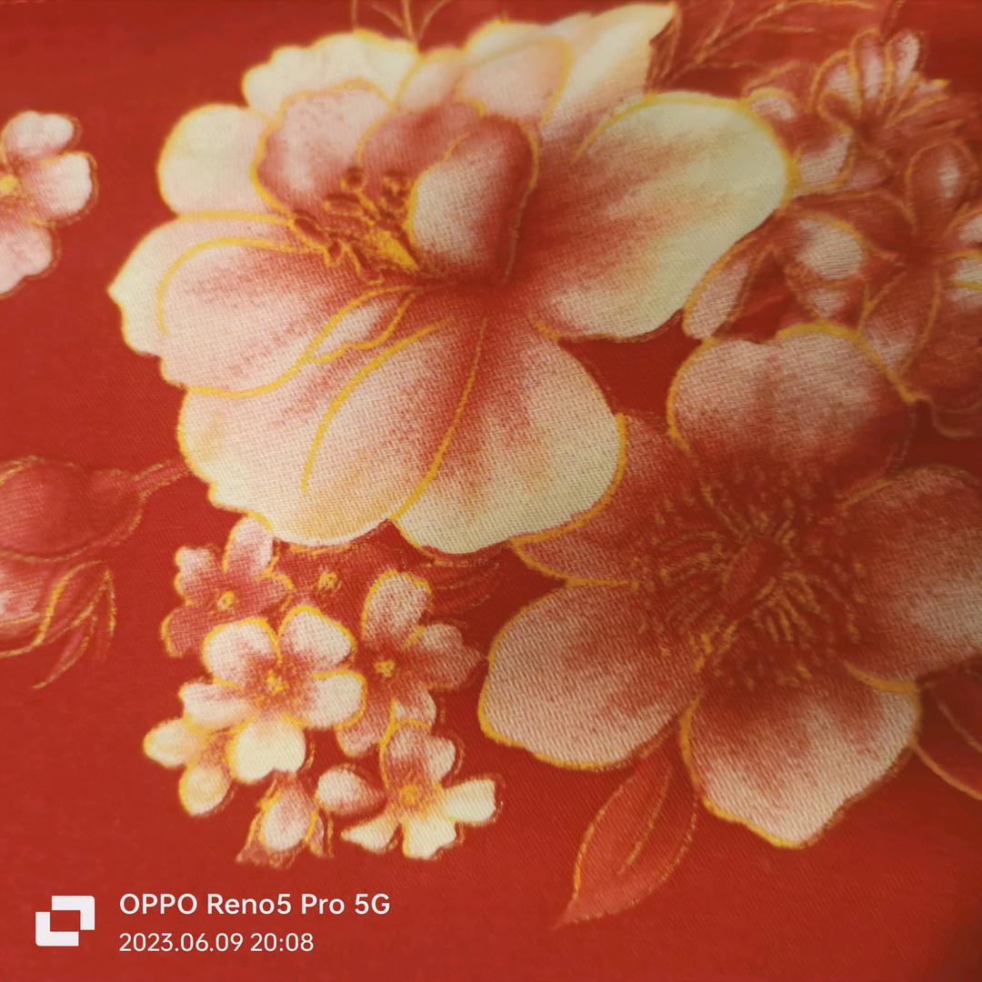 ♥(｡v珍惜￩｡)♥