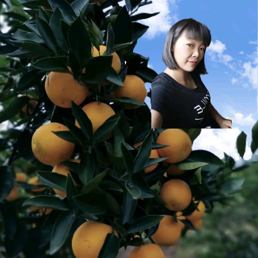 倾橙（精选赣南信丰脐橙种植户）