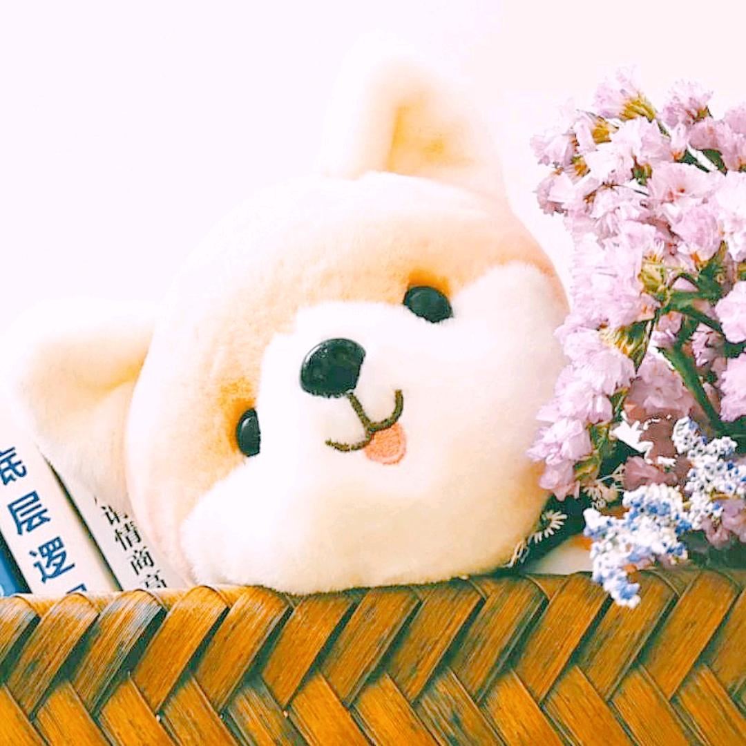 漁小浔