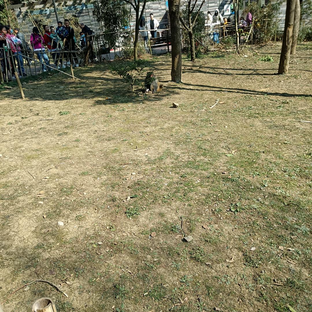 人生路